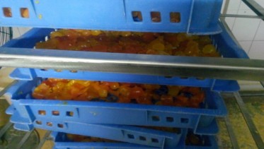 蛋黃烘干存放高溫烘干機CGF20/SN項目