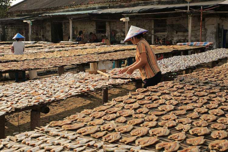 1530752610698142.jpg 曬魚(yú)干.jpg