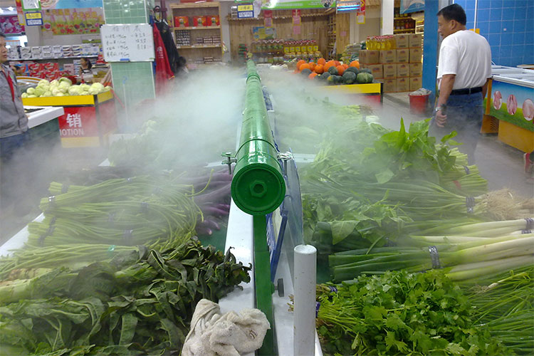 1548237391396941.jpg 未標題-1.jpg