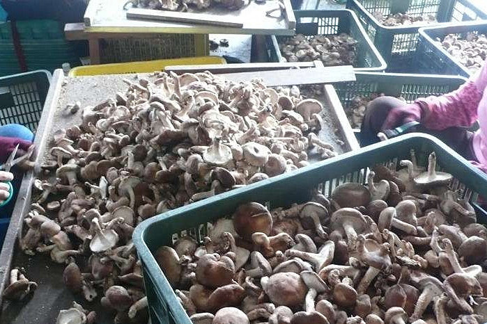 1568602292563410.jpg 0e8e30e4c8814eab87fa25beaf741252.jpg